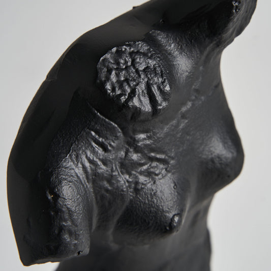 Buste décoratif Messier